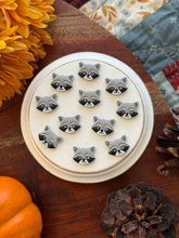 Load image into Gallery viewer, Raccoon Studs
