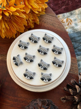 Load image into Gallery viewer, Raccoon Studs