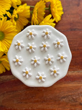 Load image into Gallery viewer, Lazy Daisy Studs