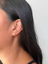 Load image into Gallery viewer, Fish Friends Stud Pack
