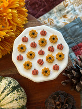 Load image into Gallery viewer, Pumpkin Stud Pack

