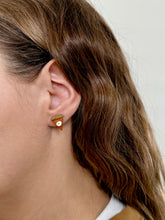Load image into Gallery viewer, Pumpkin Pie Studs
