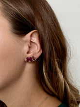 Load image into Gallery viewer, Gingerbread Stud Pack
