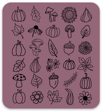Load image into Gallery viewer, Fall Doodles Sticker
